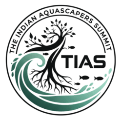 TIAS - The Indian Aquascaper Summit
